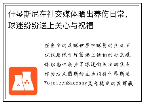 什琴斯尼在社交媒体晒出养伤日常，球迷纷纷送上关心与祝福