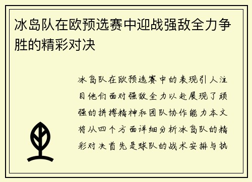 冰岛队在欧预选赛中迎战强敌全力争胜的精彩对决